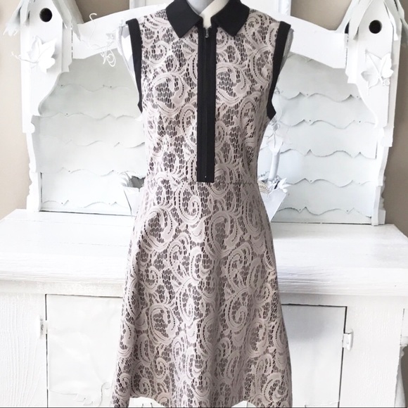 Collared Fit & Flare Lace Dress - Picture 4 of 4
